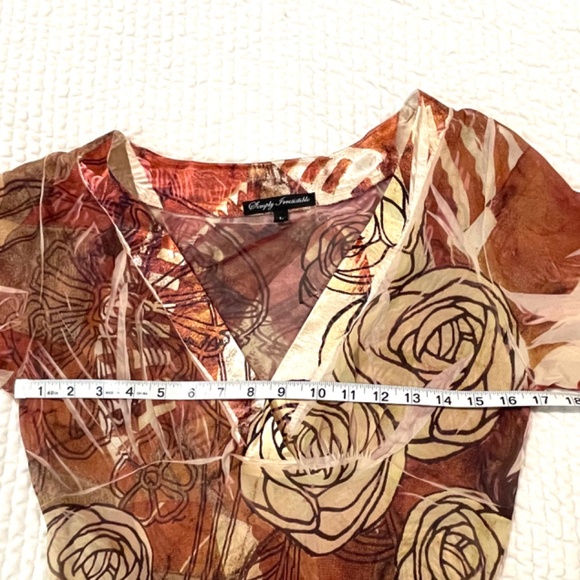 Simply Irresistible Sheer Plunge Neck Blouse - Picture 5 of 8